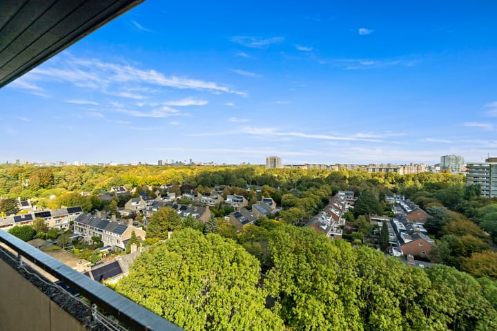 Photo 26 of Thomas Jeffersonlaan 667