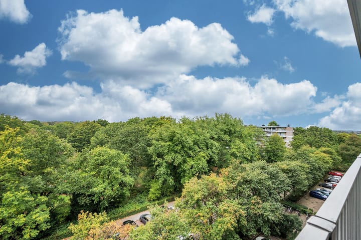 Foto 28 van Jan Vermeerstraat 393