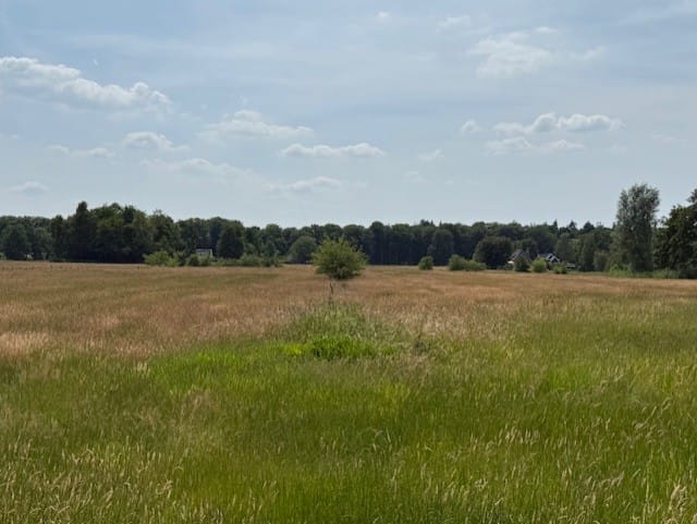 Bekijk foto 2 van Wieksloterweg Westzijde