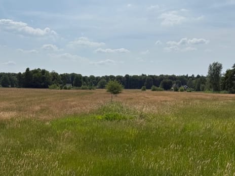 Bekijk foto's