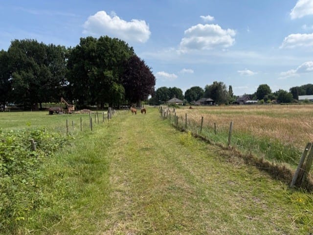Bekijk foto 4 van Wieksloterweg Westzijde