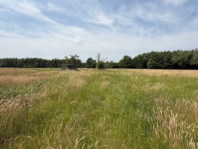 Bekijk foto 3 van Wieksloterweg Westzijde