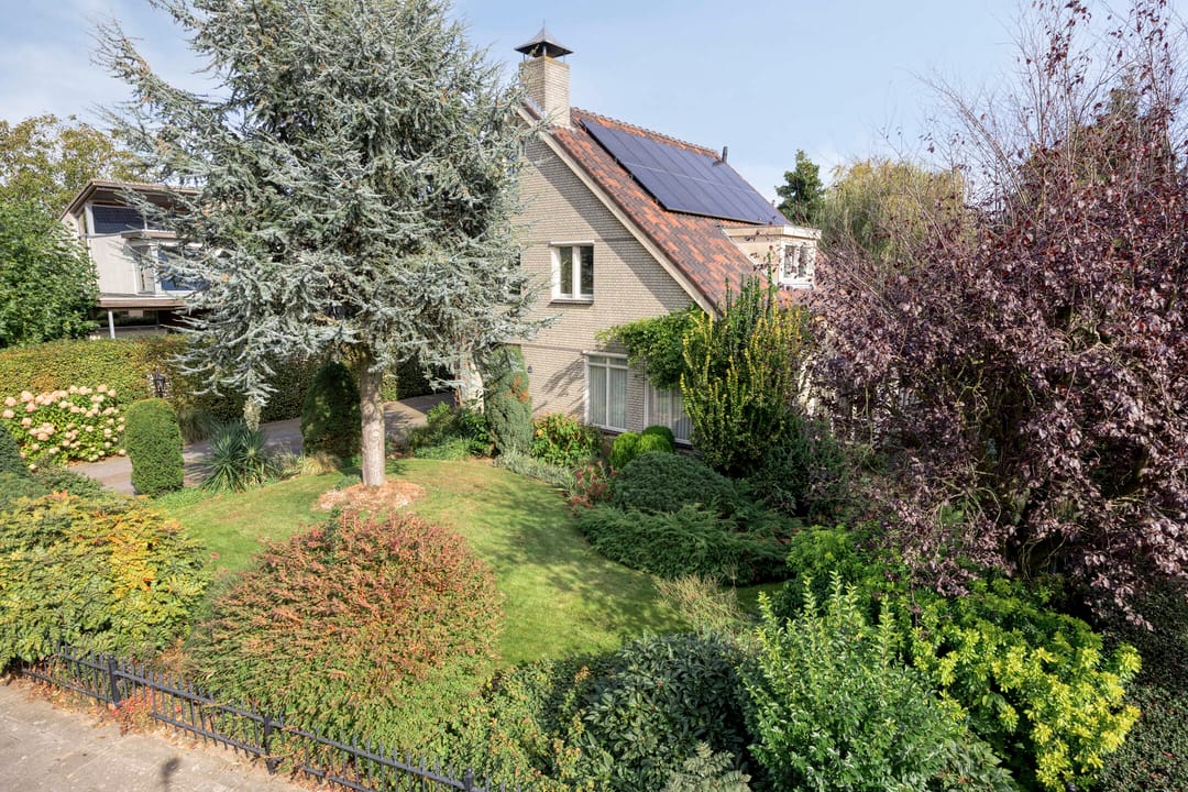 Foto 7 van Moerkamp 42