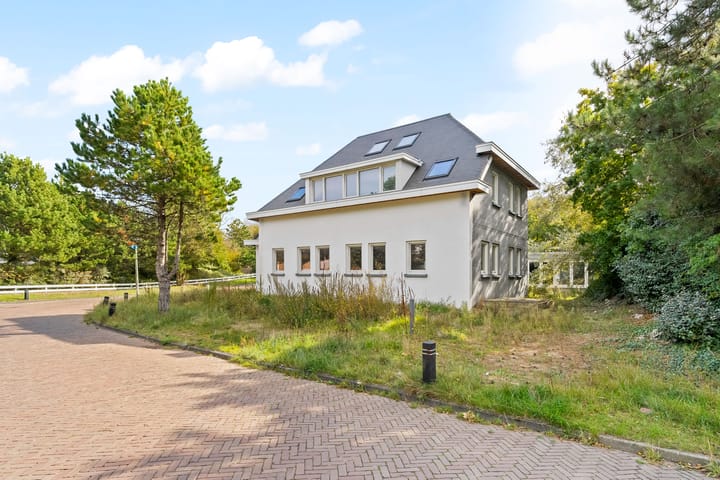 Foto 2 van Spinozaweg 1