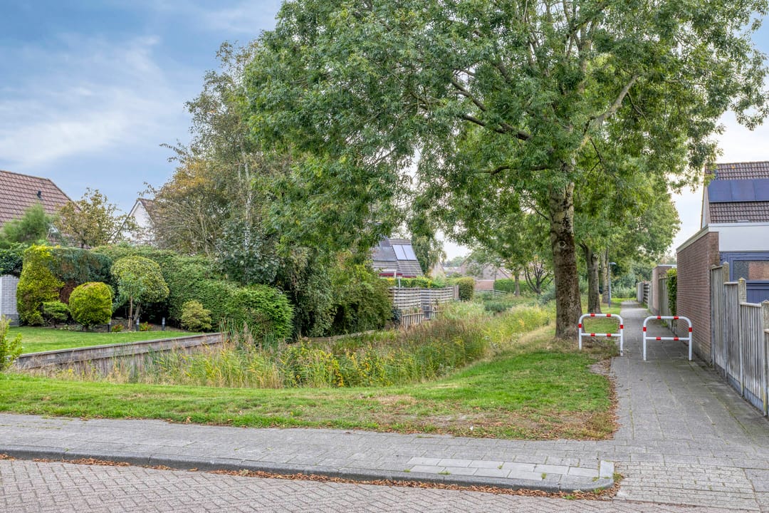 Foto 38 van de Reling 31