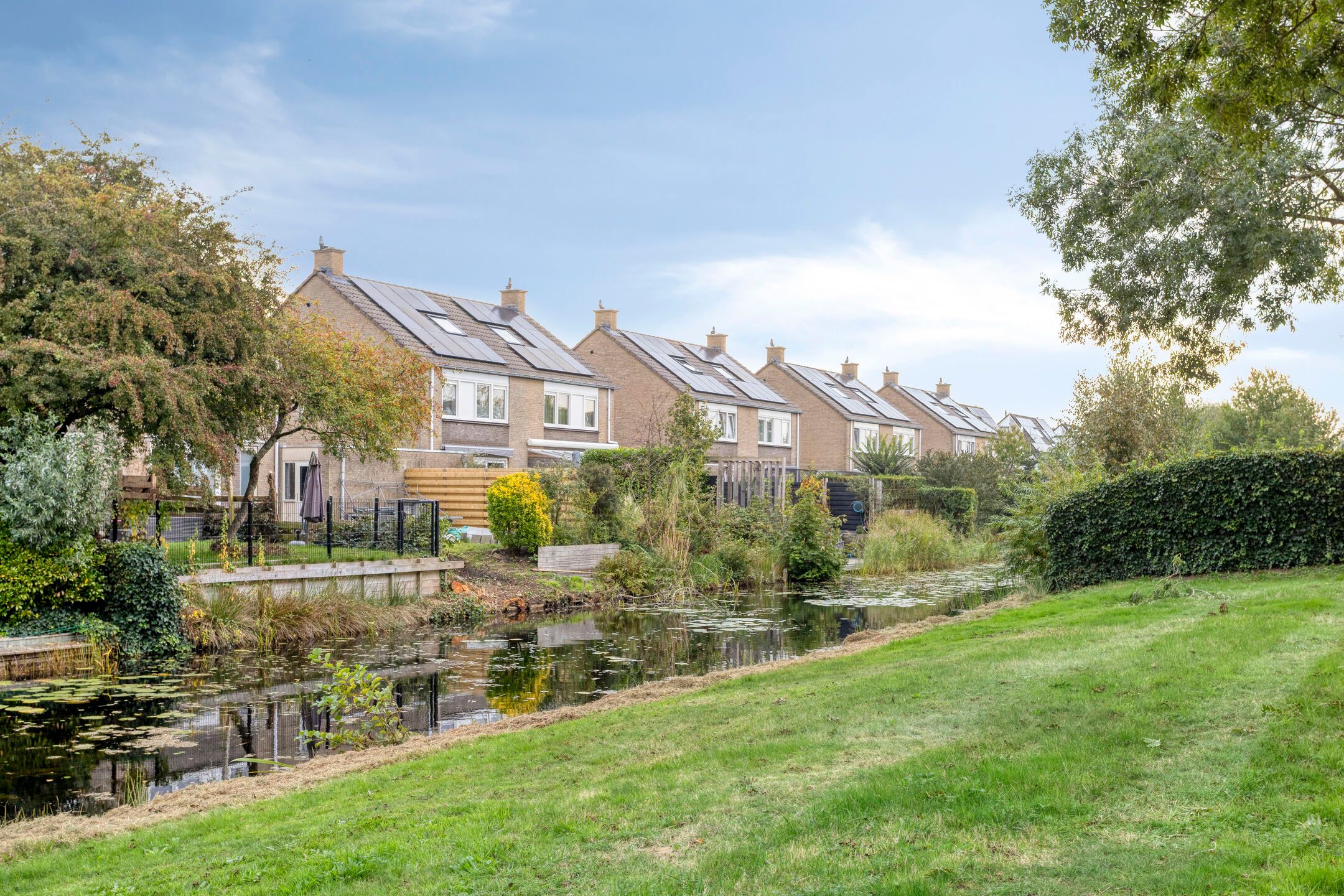 Foto 39 van de Reling 31