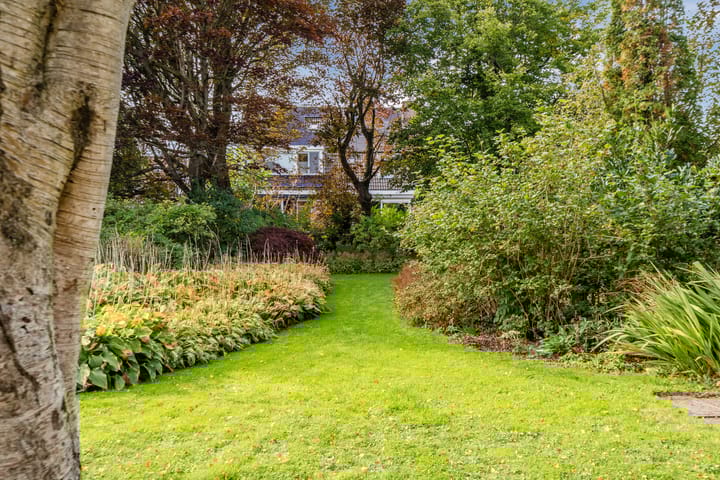 Photo 75 of Burgemeester Colijnstraat 54