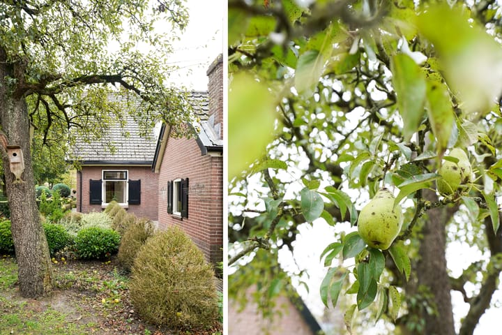 Foto 5 van Uttilochweg 7