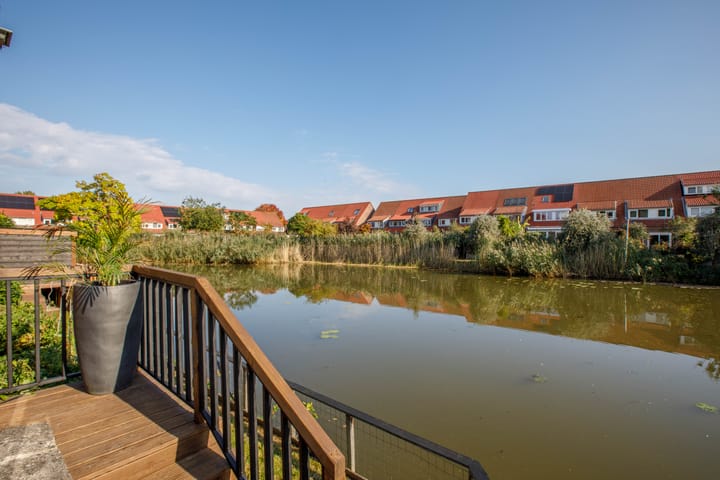 Foto 42 van Libellendans 8