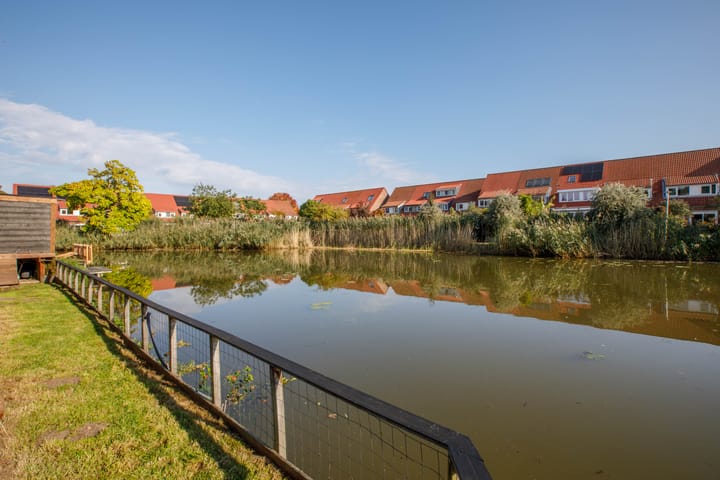 Foto 44 van Libellendans 8