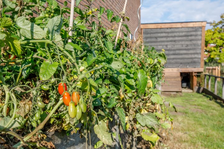 Foto 45 van Libellendans 8