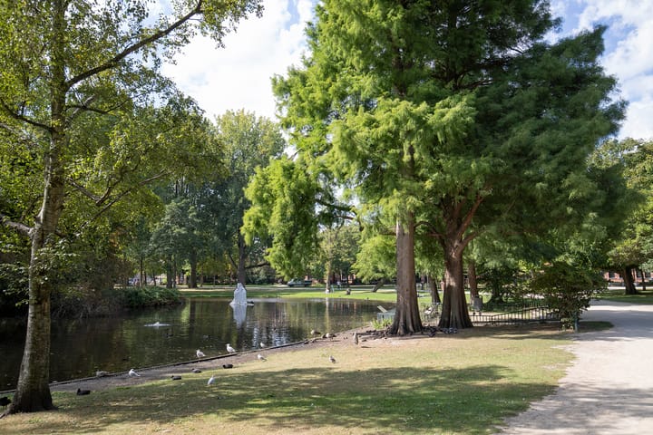 Foto 41 van Westerdok 320