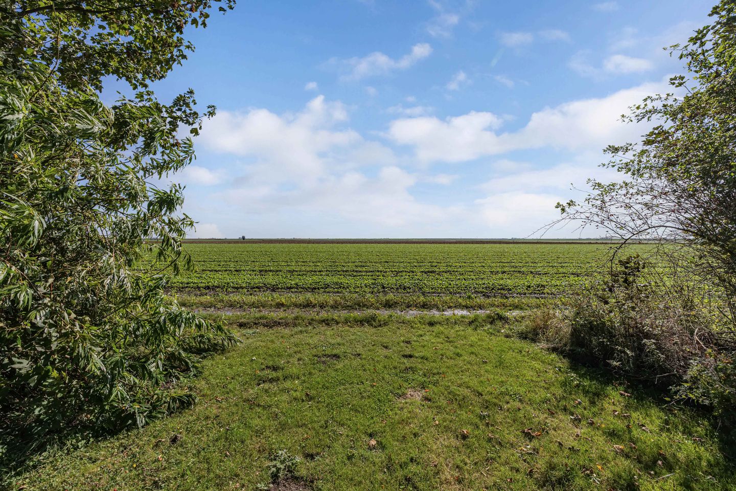 Foto 59 van Zwartemeerweg 44