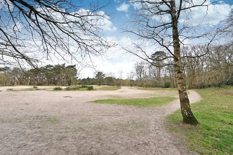 Driftweg 225 tertiary image