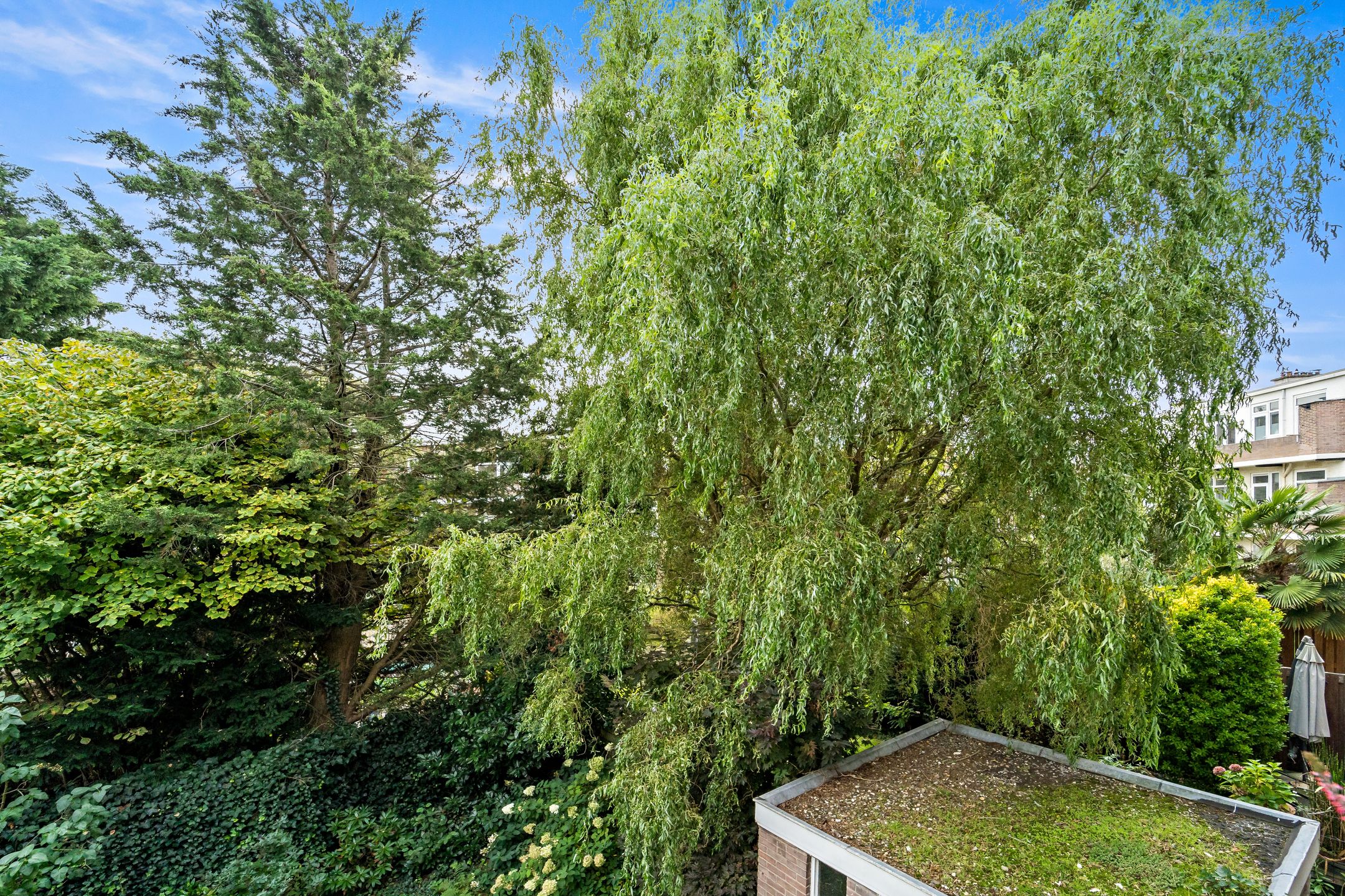 Foto 21 van Loudonstraat 53