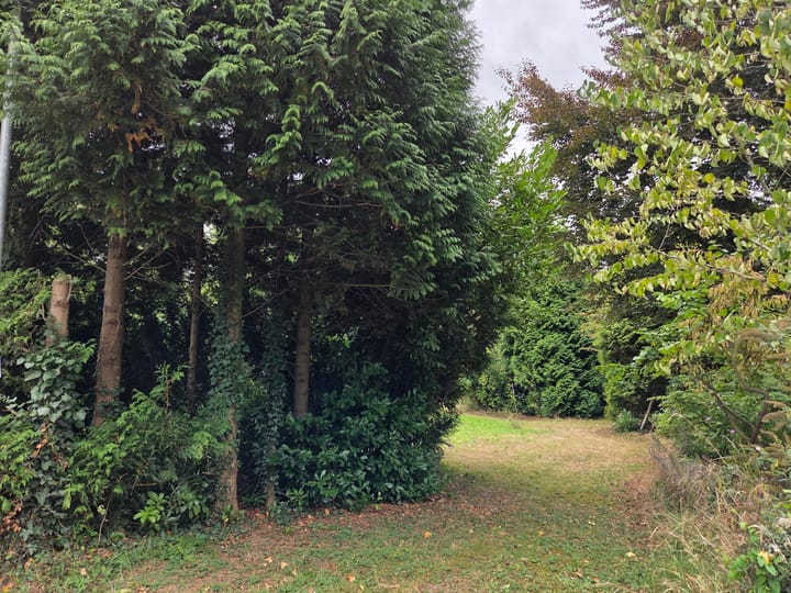 Photo 2 of Oude Maasdijk 24