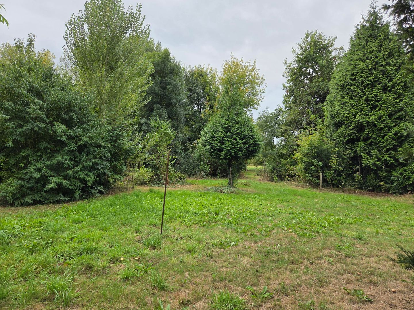 Foto 4 van Oude Maasdijk 24