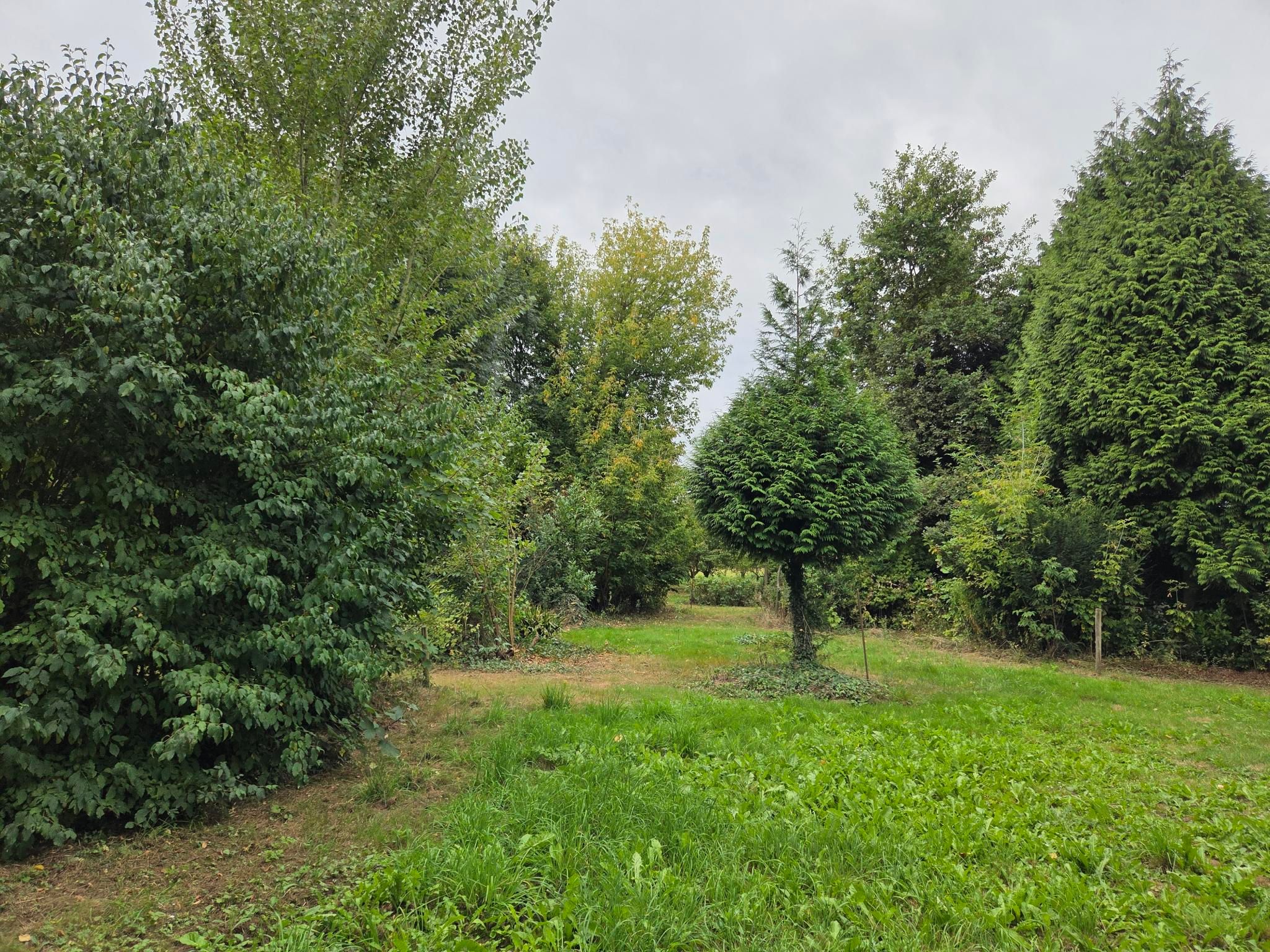 Oude Maasdijk 24 