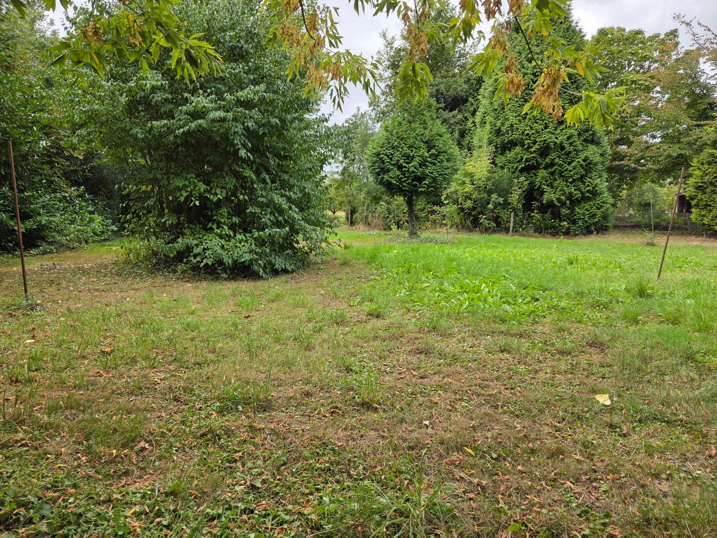 Foto 5 van Oude Maasdijk 24