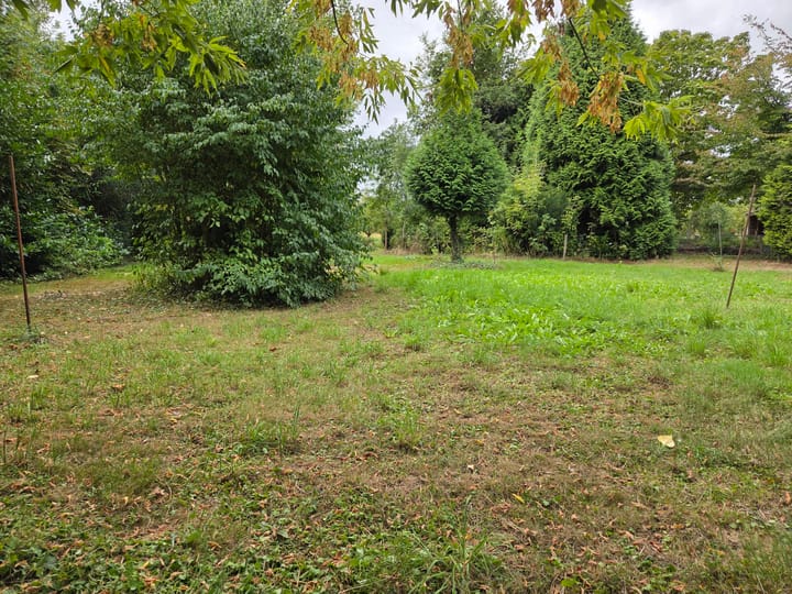 Photo 5 of Oude Maasdijk 24