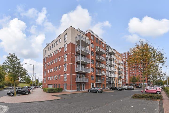 Foto 6 van Westerschelde 12