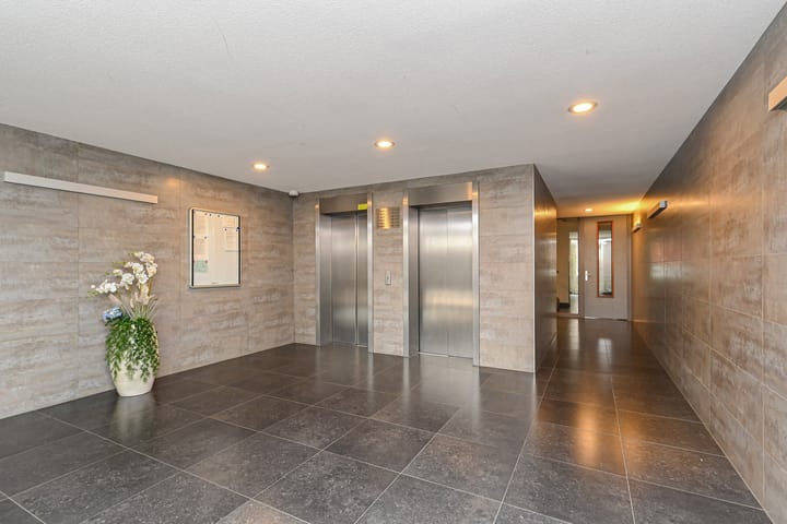 Foto 10 van Westerschelde 12