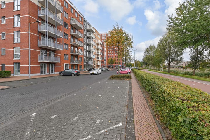 Foto 32 van Westerschelde 12