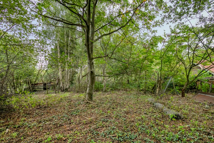 Foto 37 van Boslaan 16