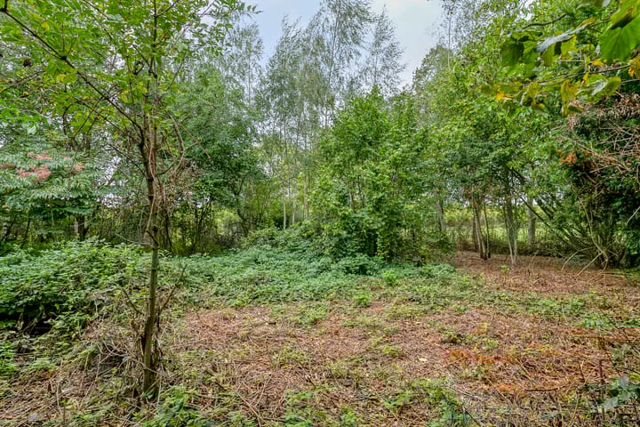 Foto 38 van Boslaan 16