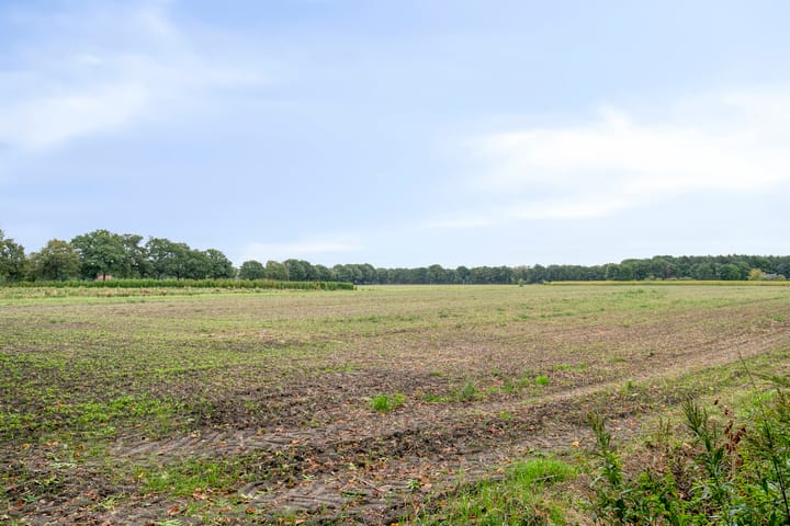 Foto 45 van Boslaan 16