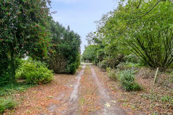 Foto 3 van Boslaan 16