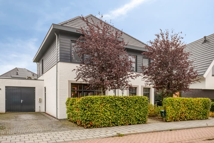 Photo 8 of Hageheld 7