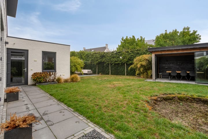 Photo 54 of Hageheld 7