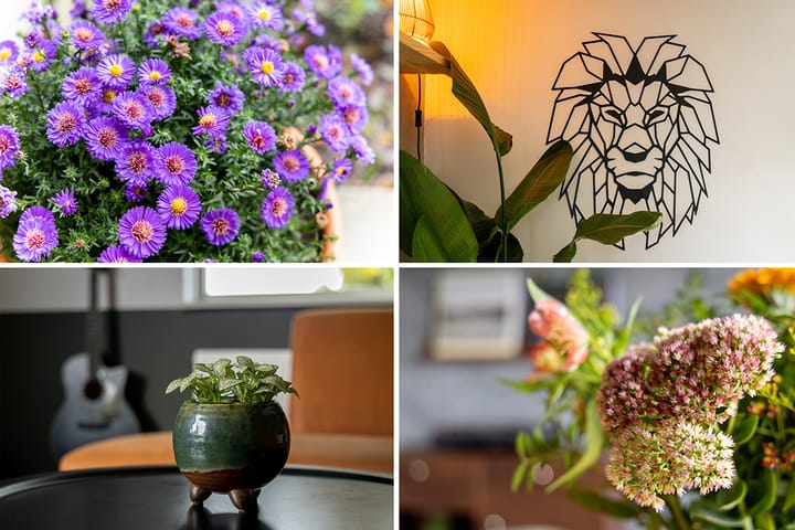 Foto 32 van Groetlaan 32