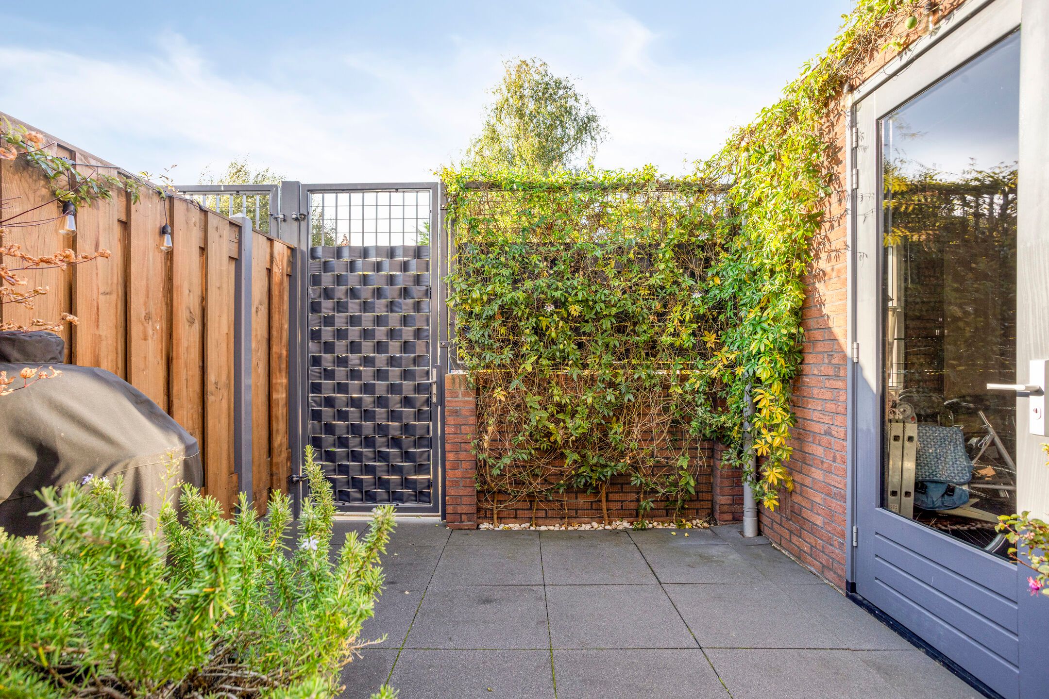 Foto 36 van Altair 3