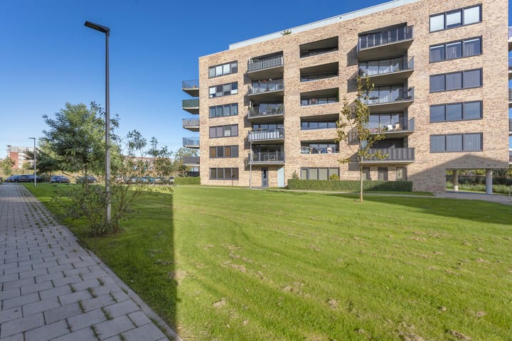 Foto 37 van Altair 3