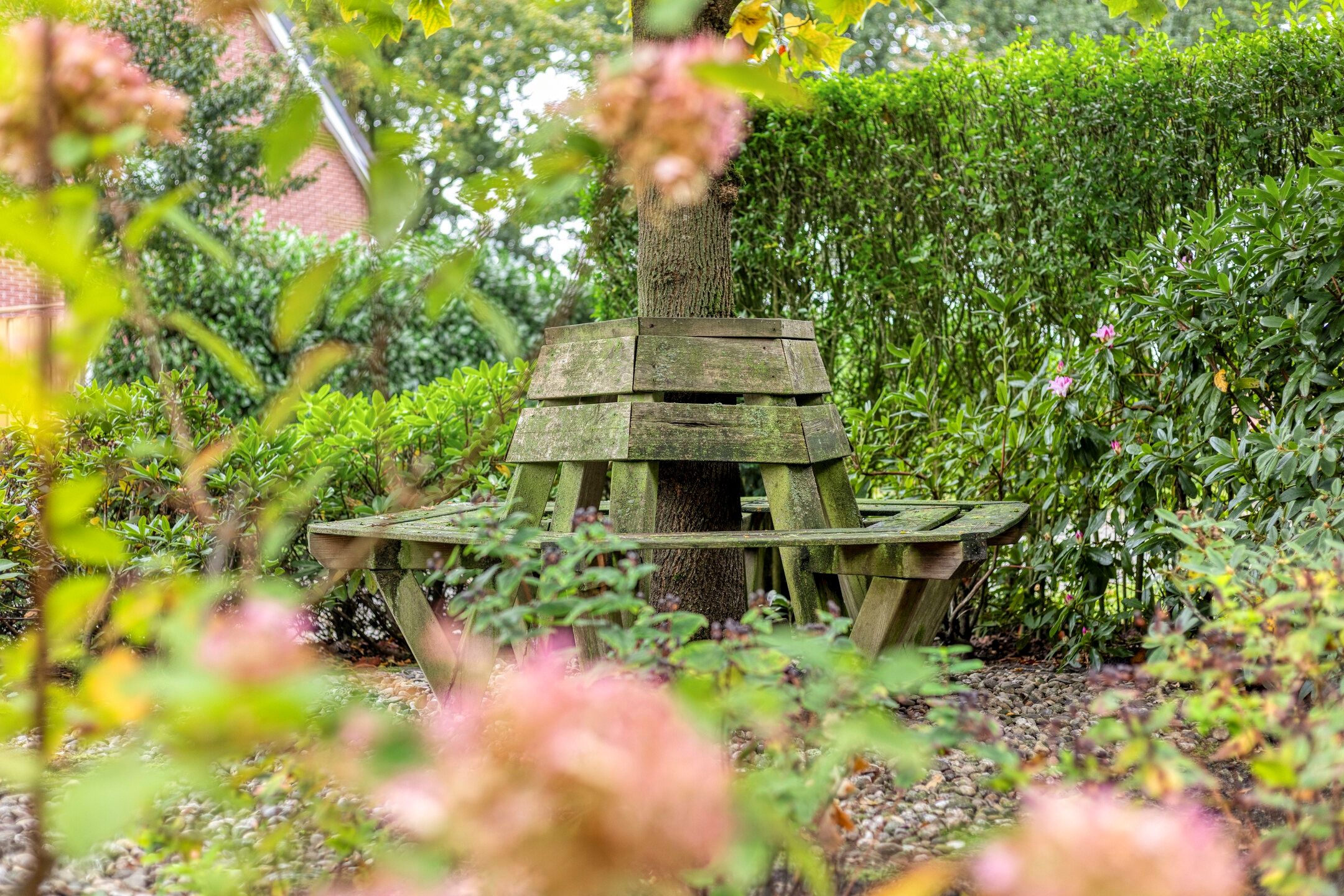 Foto 39 van De Gruttenmaat 9