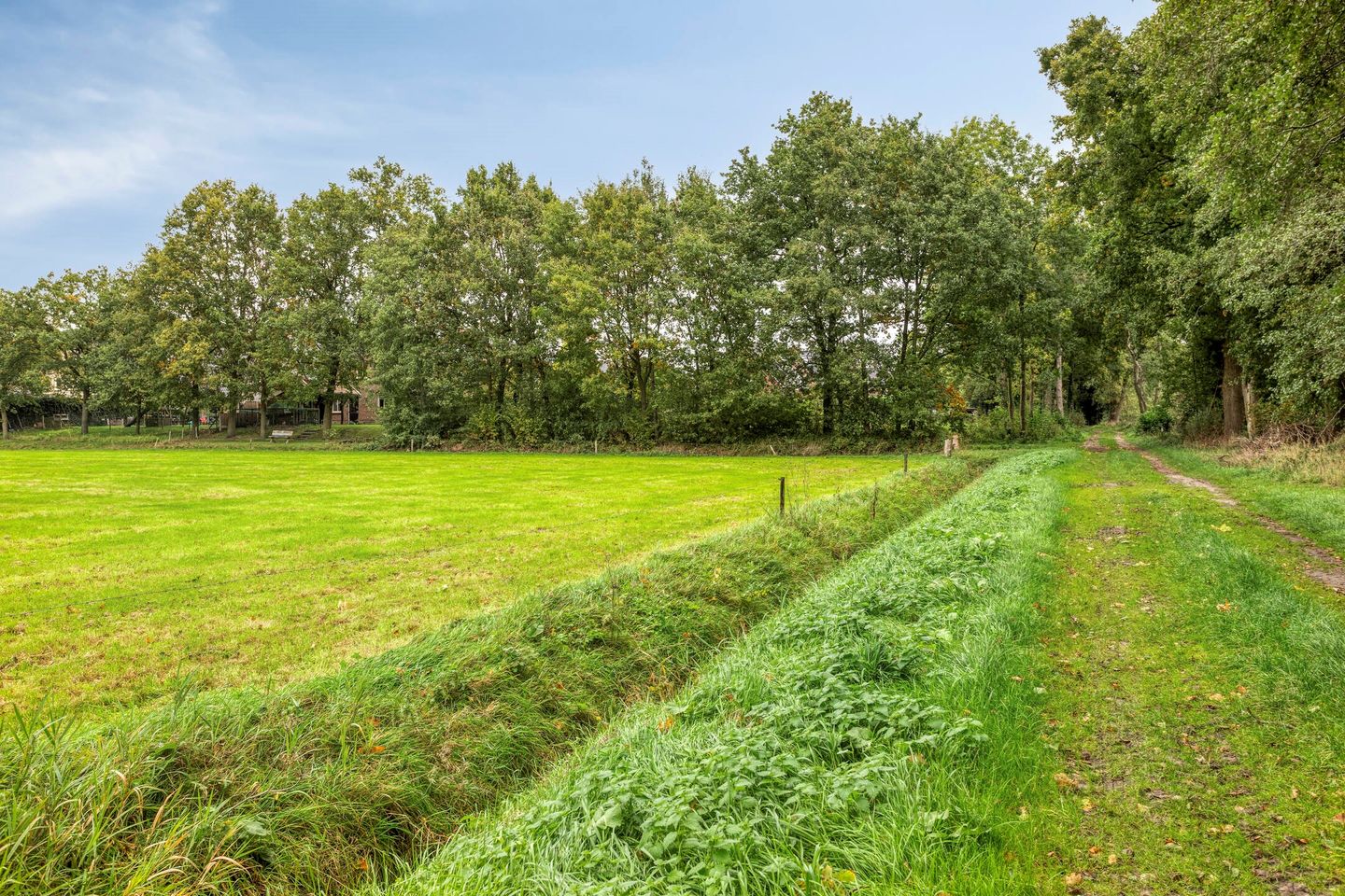 Foto 44 van De Gruttenmaat 9