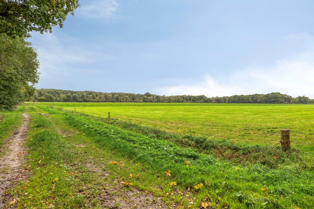 Foto 46 van De Gruttenmaat 9