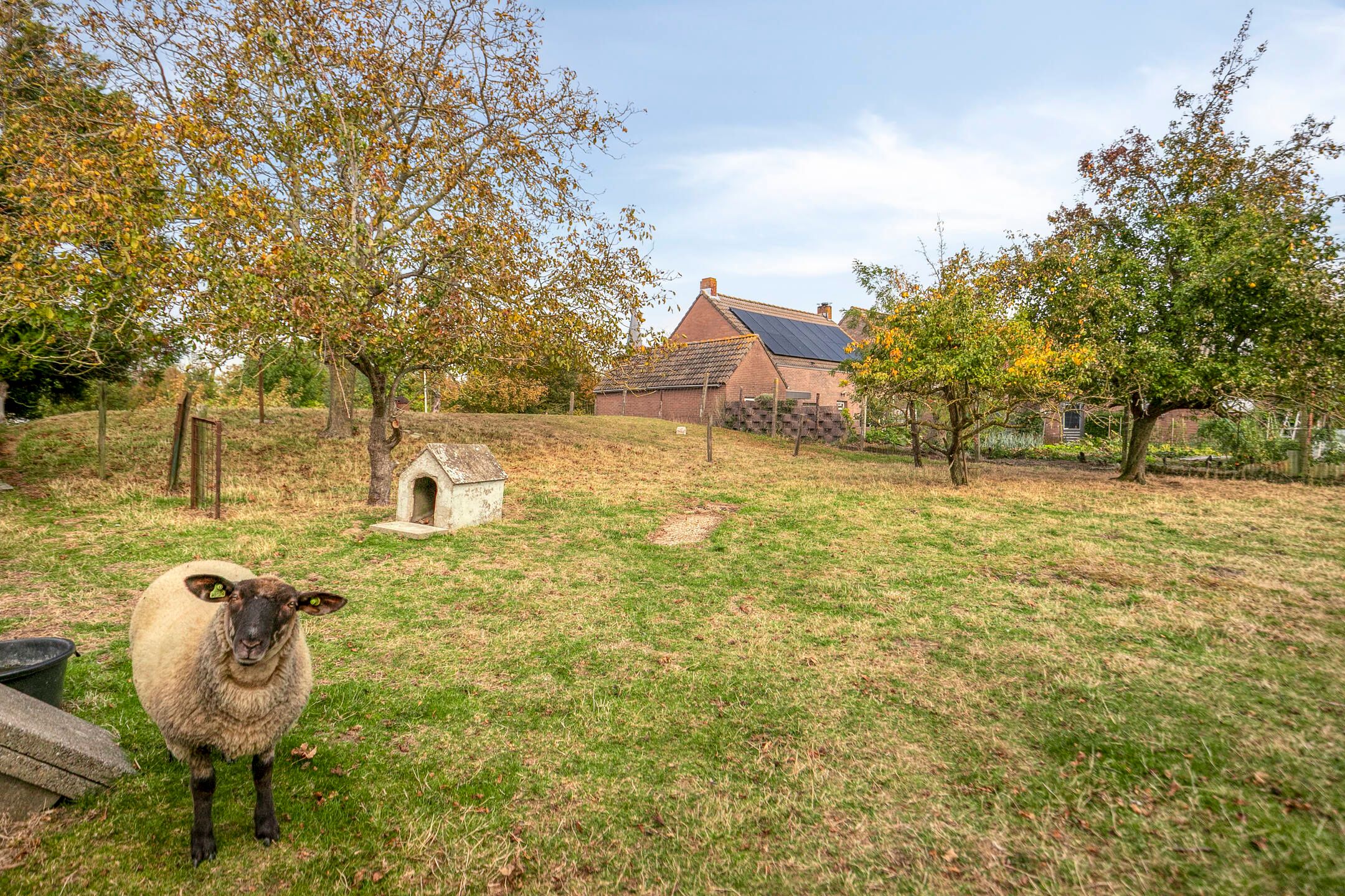 Foto 36 van Lageweg 35