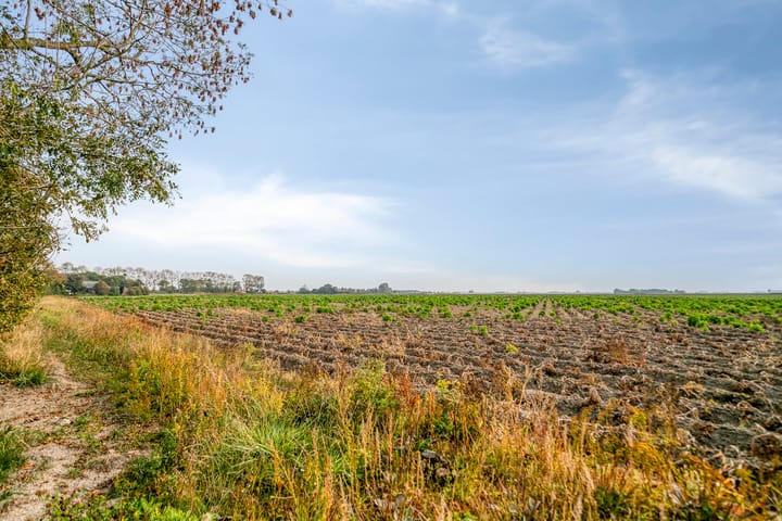 Foto 45 van Lageweg 35