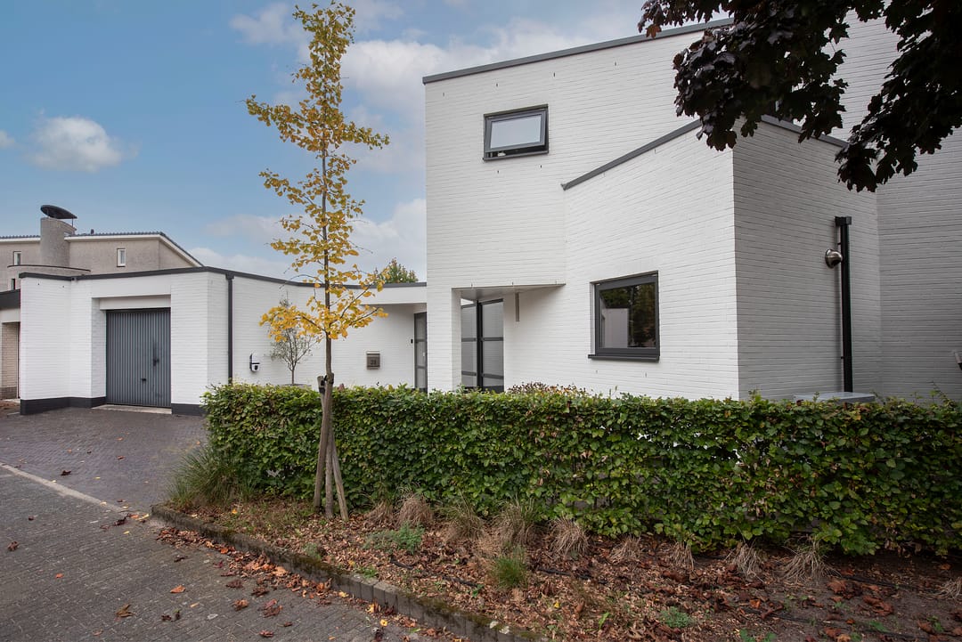 Photo 2 of Goudvink 39