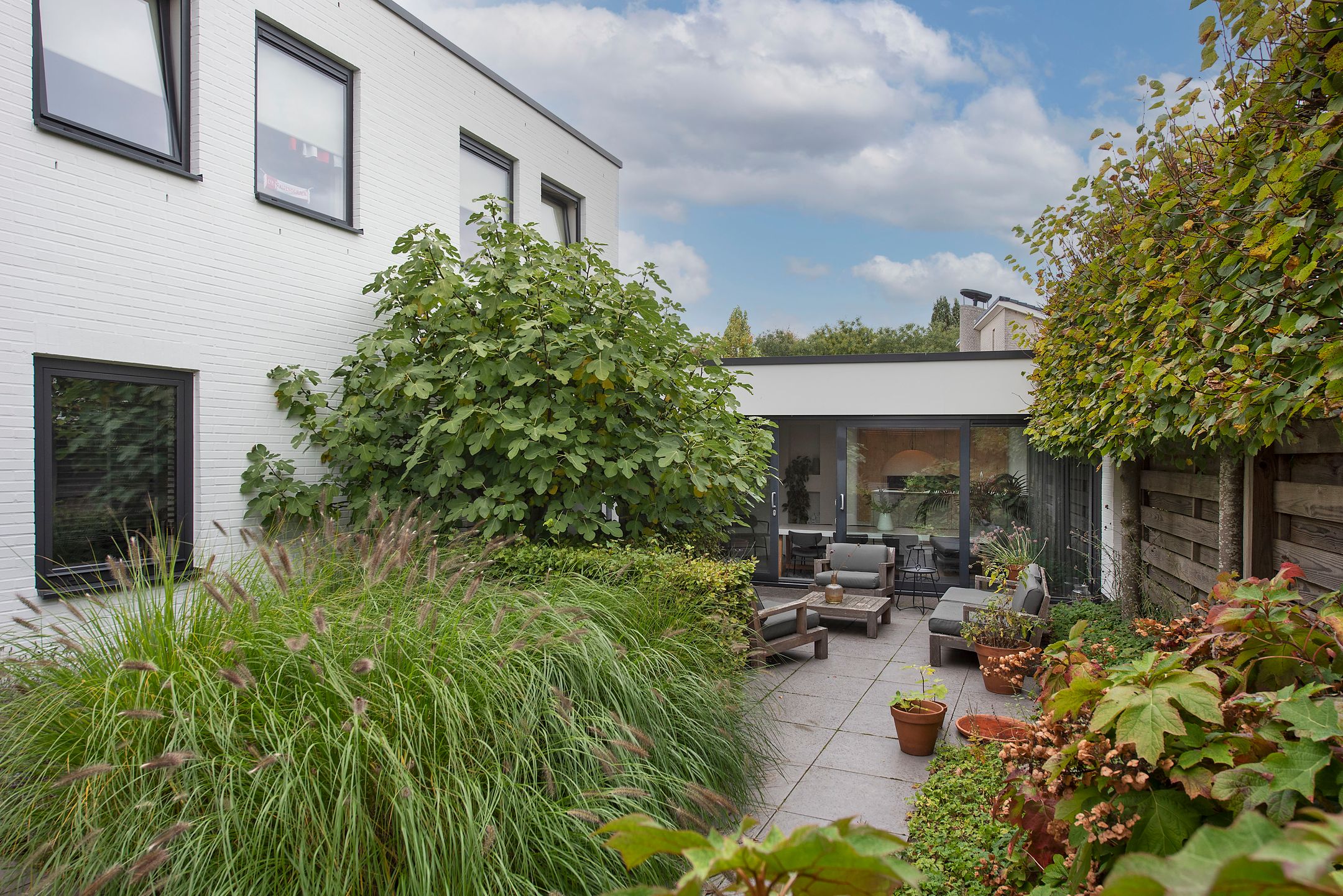 Photo 3 of Goudvink 39