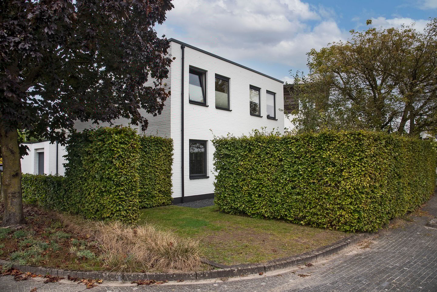 Photo 4 of Goudvink 39