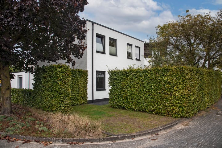 Foto 4 van Goudvink 39