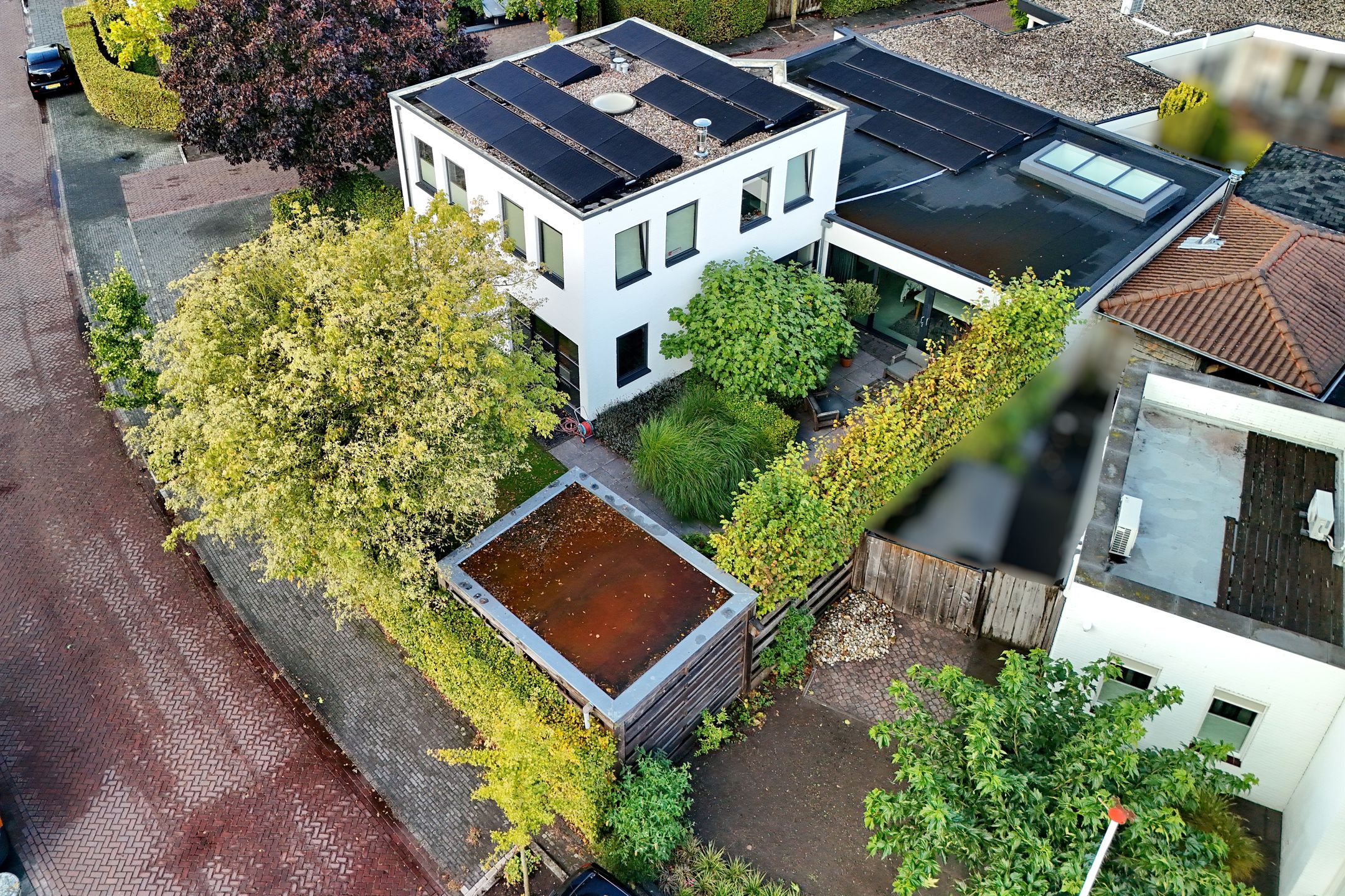 Photo 6 of Goudvink 39