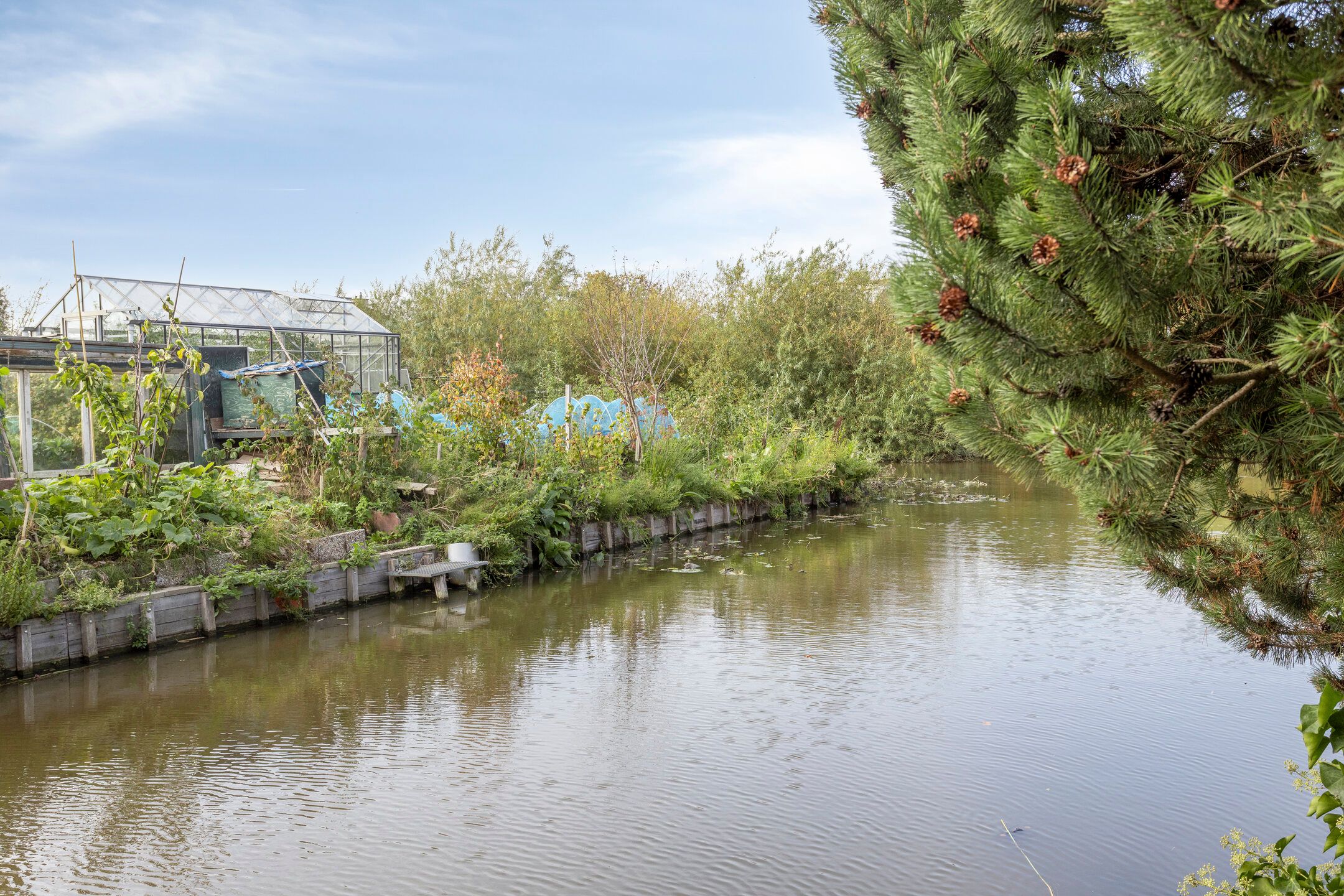 Foto 54 van Gounodstraat 11