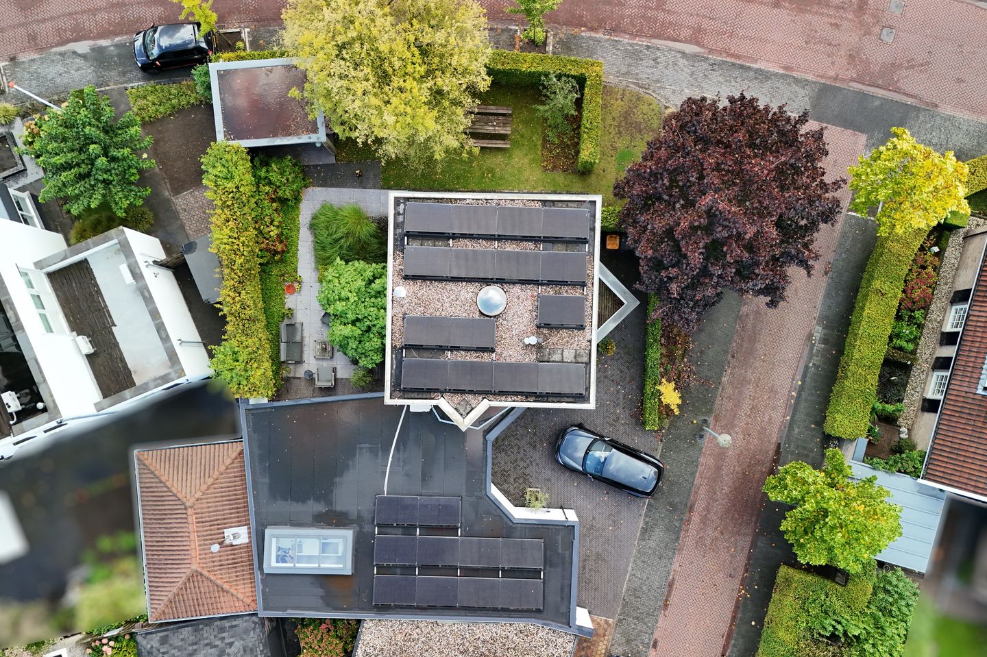 Photo 34 of Goudvink 39