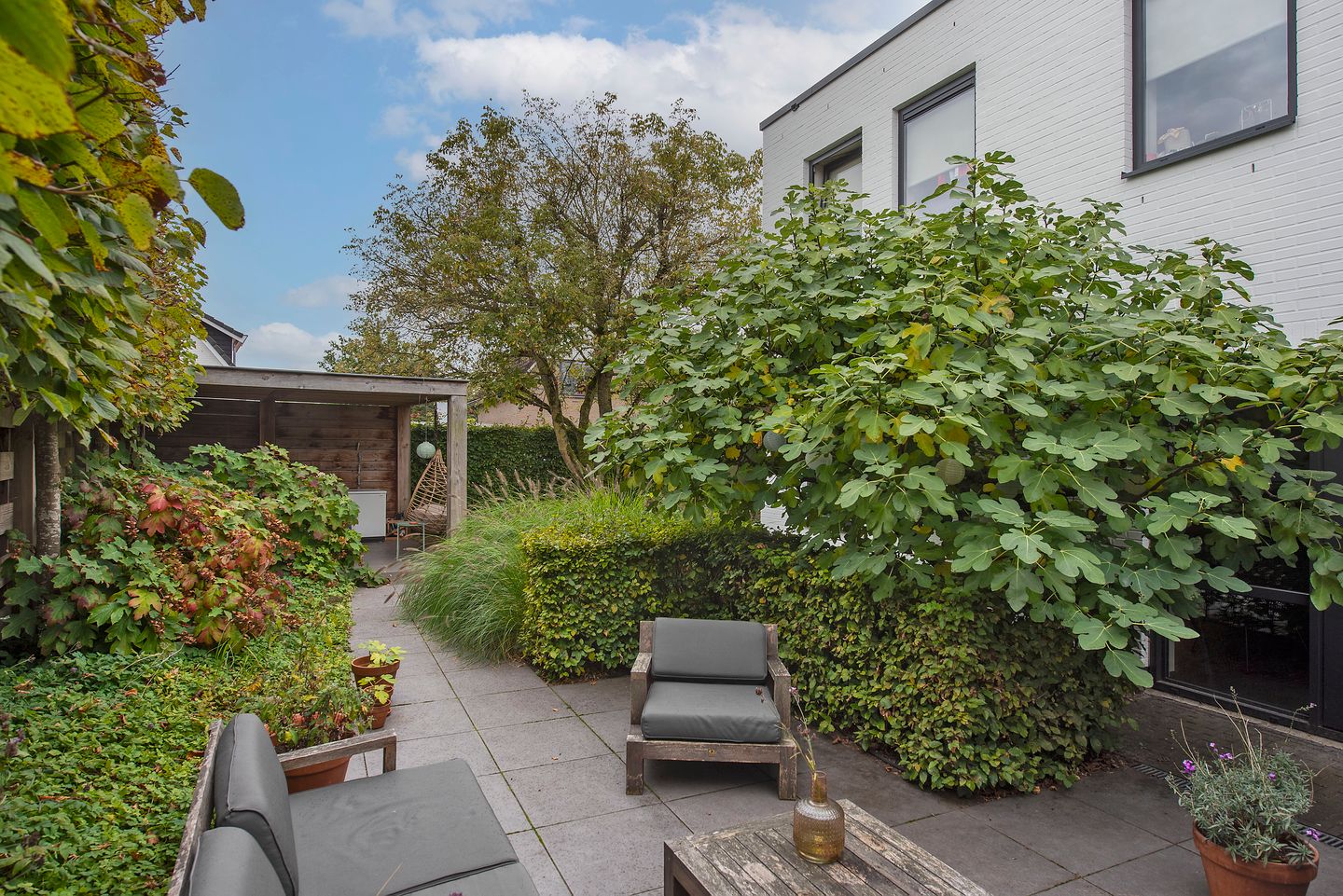 Photo 35 of Goudvink 39