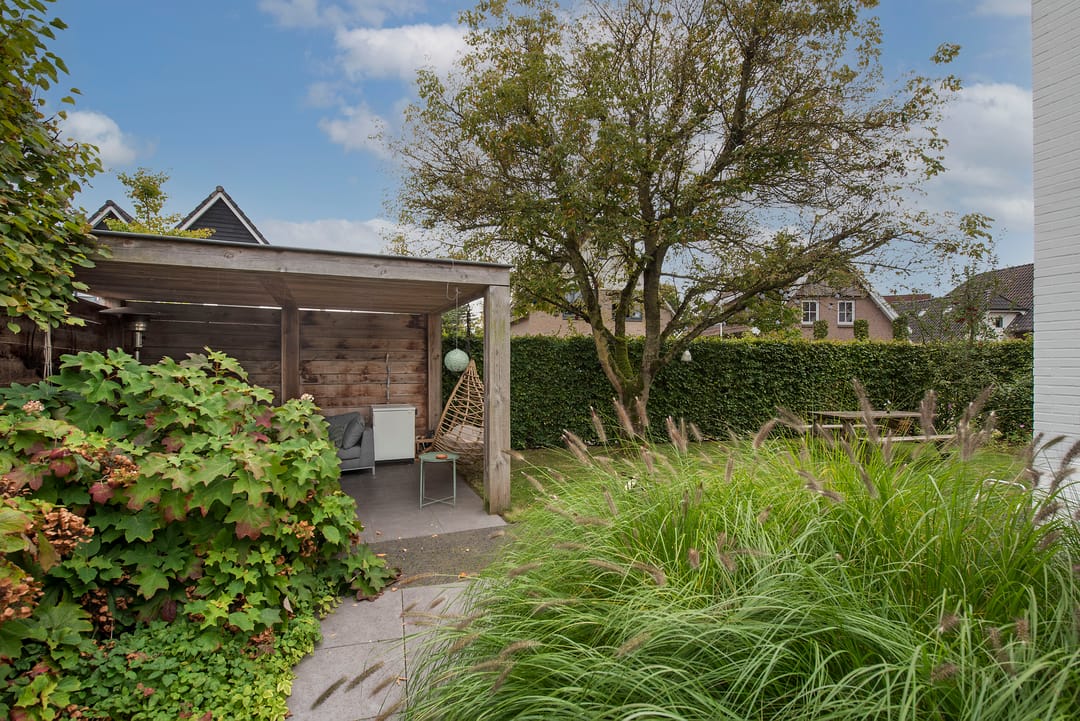 Photo 37 of Goudvink 39